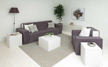 Living Room and decoration to rent